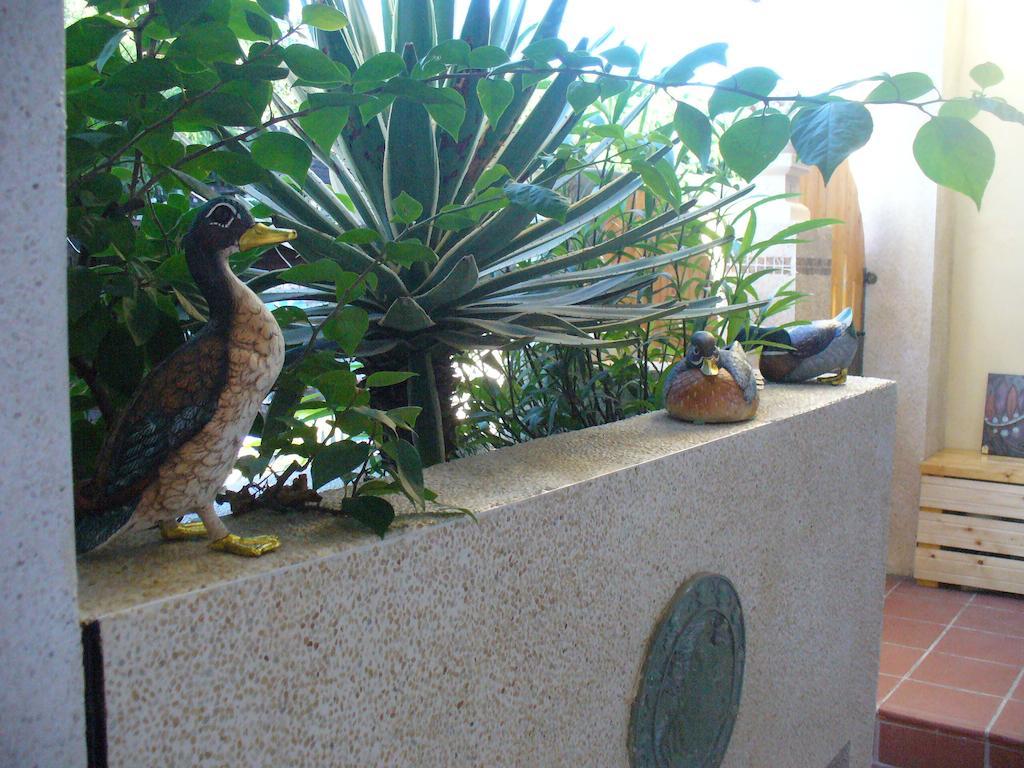 مبيت وإفطار Heng-ch'un Alongs Garden المظهر الخارجي الصورة